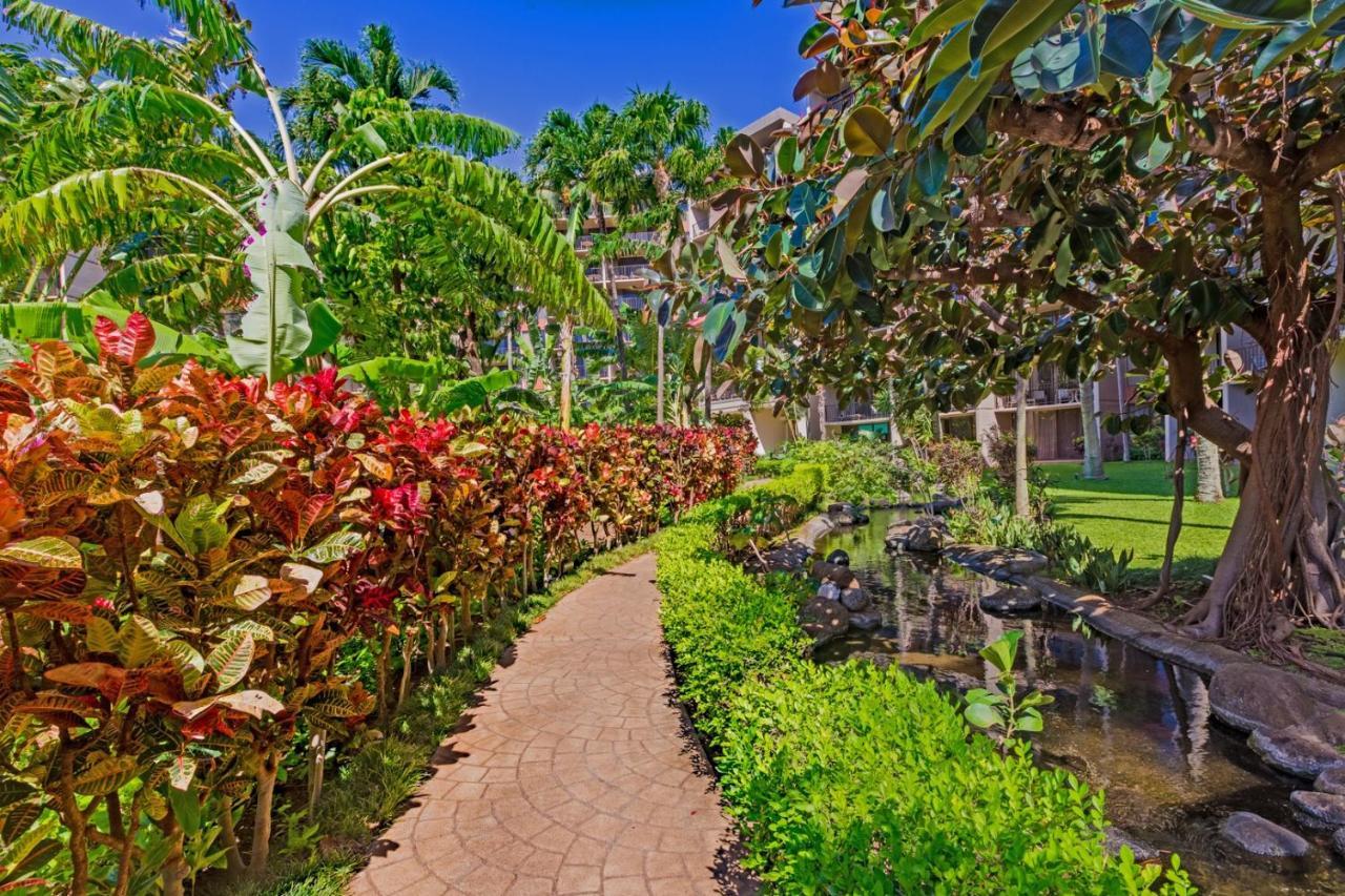 Апартаменты Kaanapali Shores 422 Лахайна Номер фото